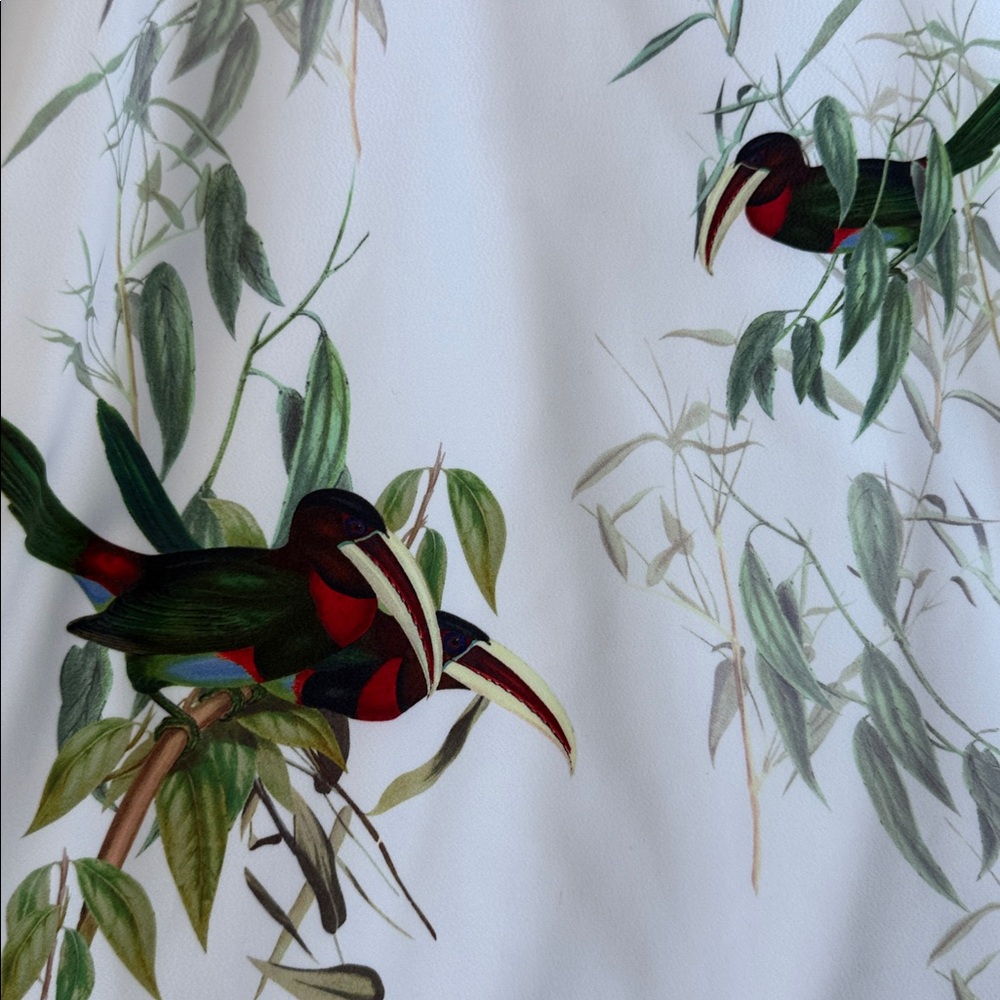 Ted Baker London White Midi Dress with Green & Red Belt and Botanical Bird Print - Picture 3 of 7